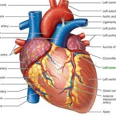 Thumbnail cover image Heart Desease Prediction